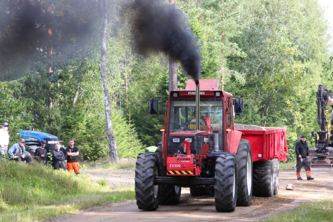 Klikkaamalla seuraava kuva