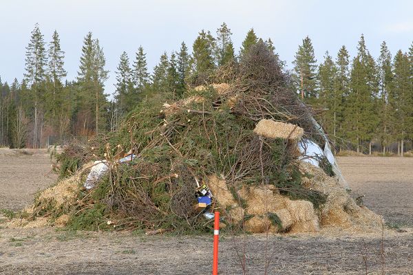 Klikkaamalla seuraava kuva