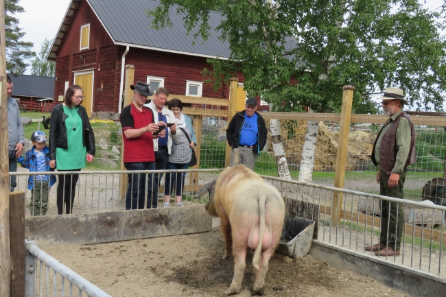 Klikkaamalla seuraava kuva