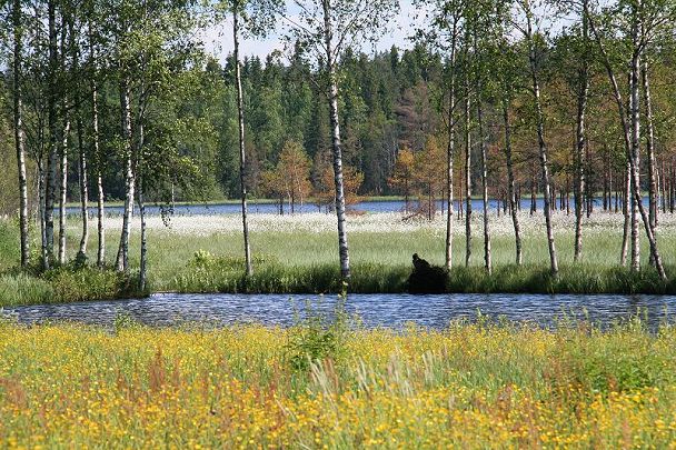 Klikkaamalla seuraava kuva