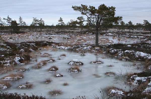 Klikkaamalla seuraava kuva