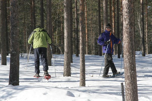 Klikkaamalla seuraava kuva