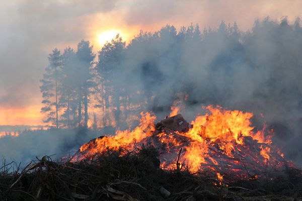 Klikkaamalla seuraava kuva