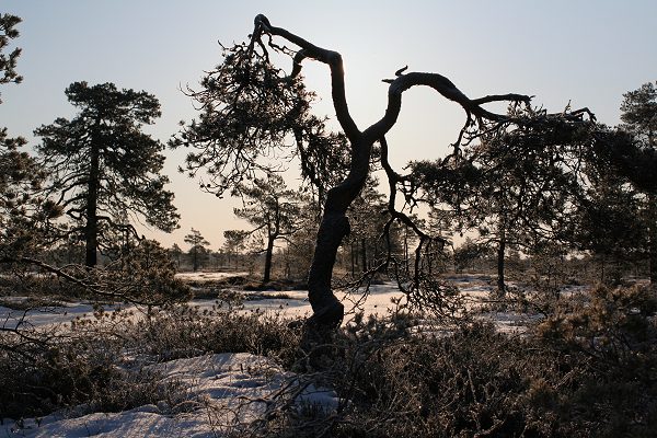 Klikkaamalla seuraava kuva