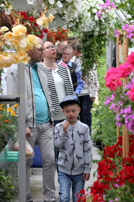 Klikkaamalla seuraava kuva