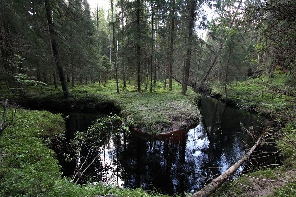 Klikkaamalla seuraava kuva