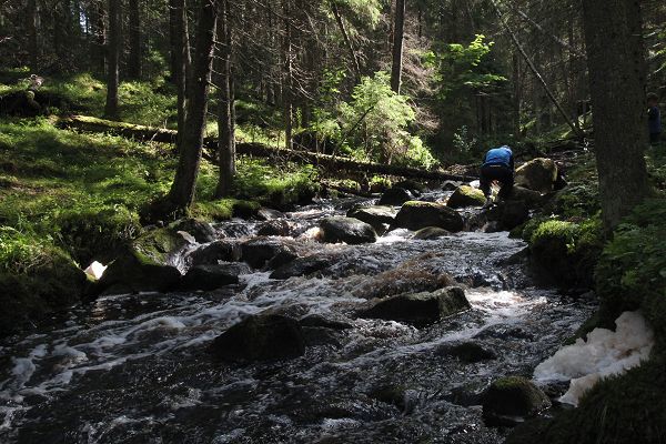 Klikkaamalla seuraava kuva