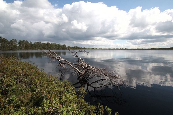 Klikkaamalla seuraava kuva