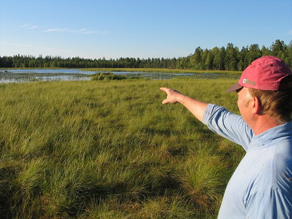 Klikkaamalla seuraava kuva